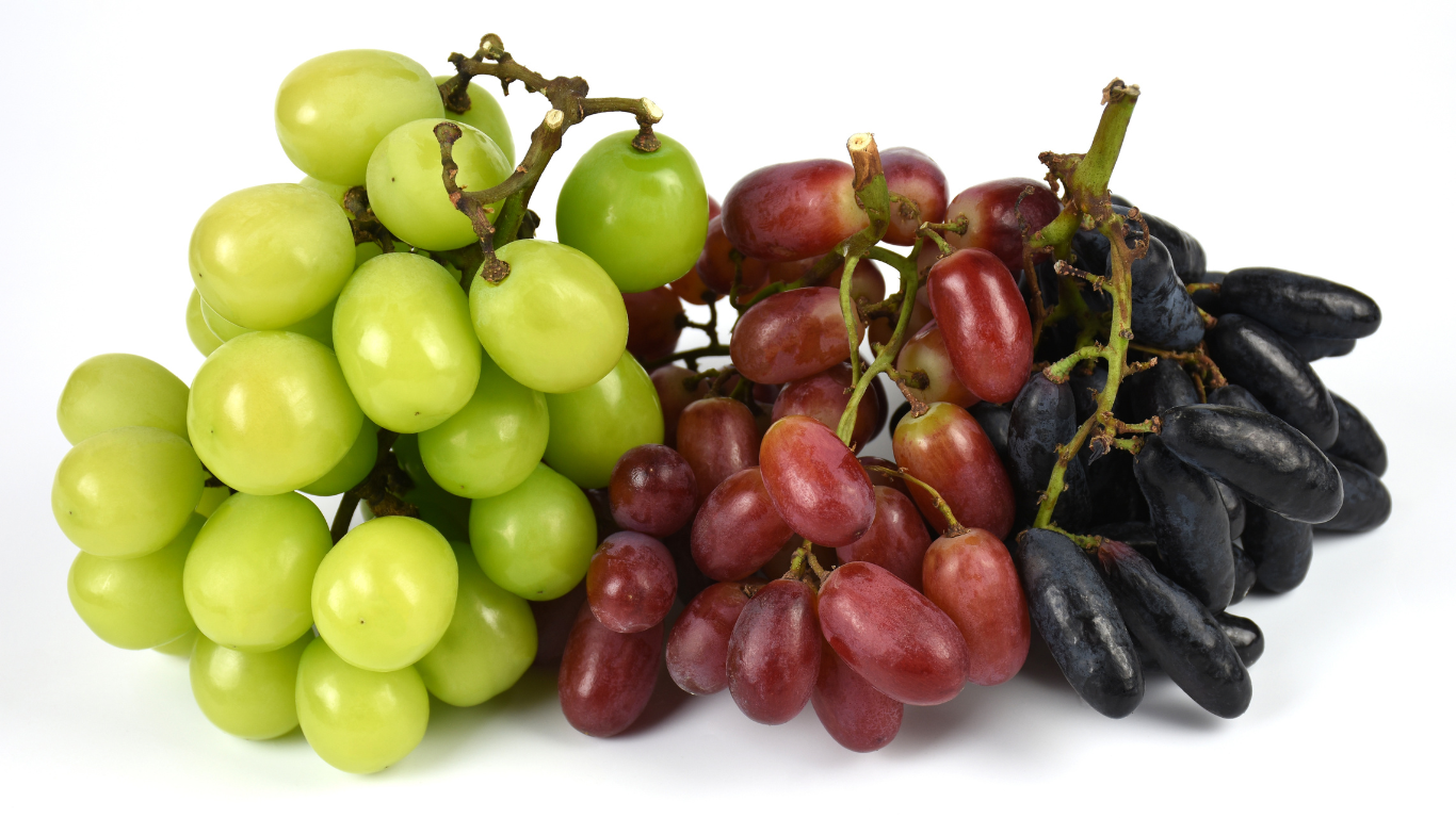 Fresh Grapes Export from India