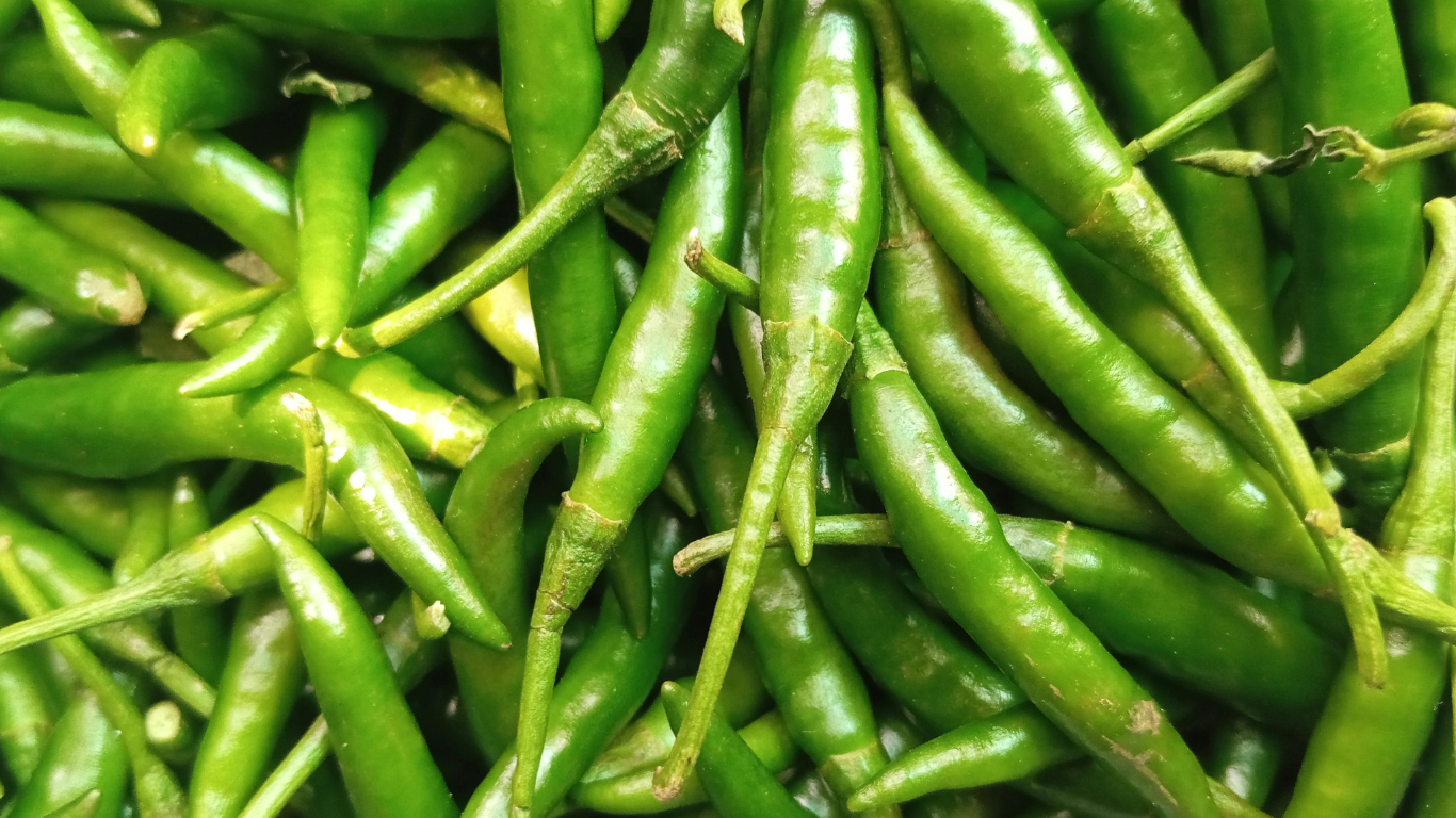 Fresh Green Chilli Export from India