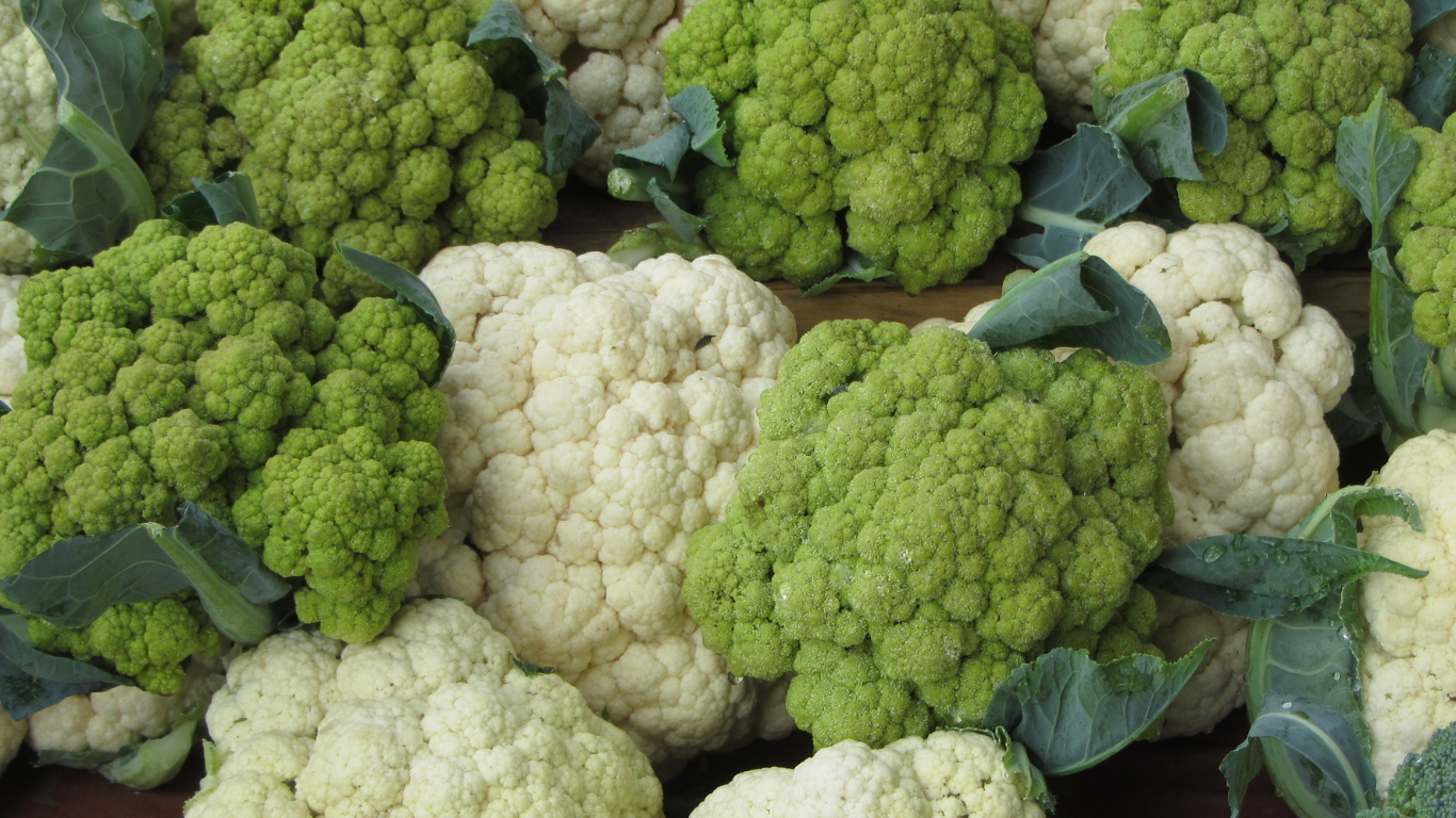 Fresh Cauliflower Export from India