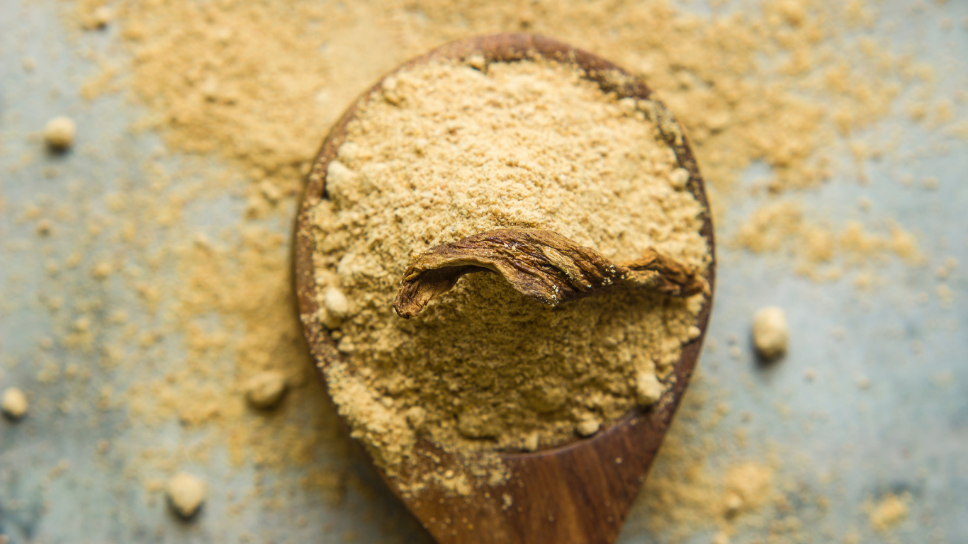 Mango Powder Export from India