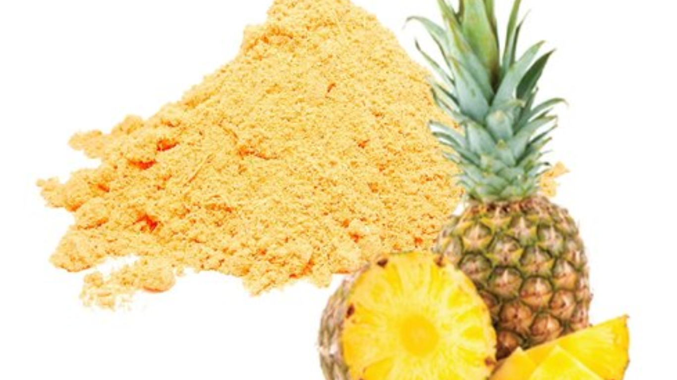 Pineapple Powder Export from India