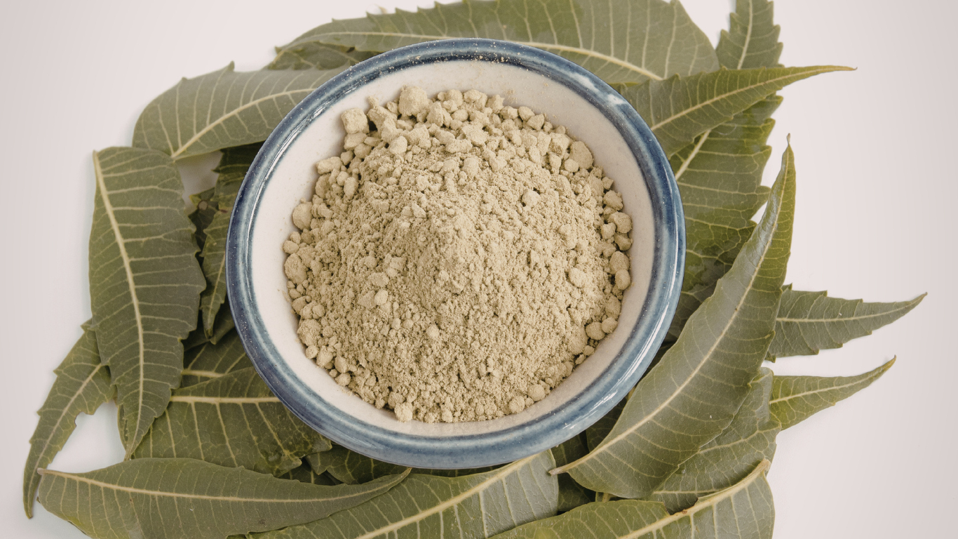 Neem Powder Export from India
