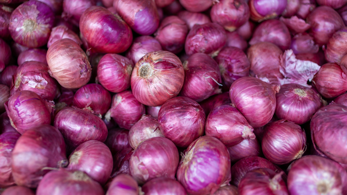 Fresh Onion Export from India